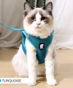 Turquoise green