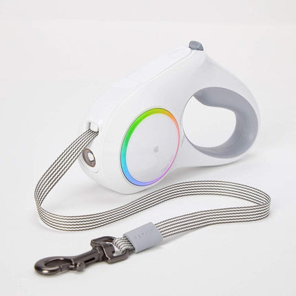 Retractable Dog Leash with LED Headlight - petpexi.com