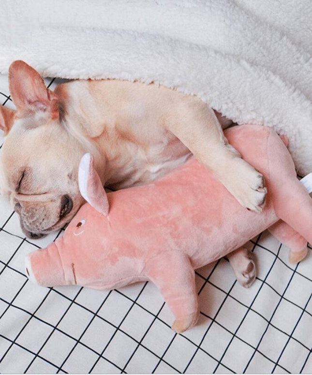 Pet Dog Sleeping Companion Plush Toy – www.petpexi.com