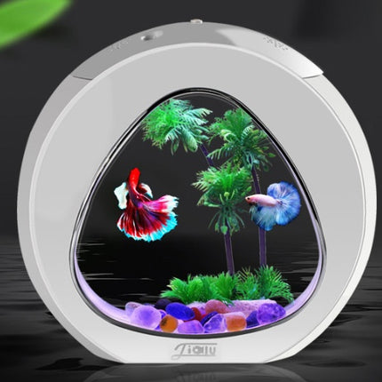 Desktop Acrylic Fish Tank Aquarium – Small & Large Sizes | PetPexi