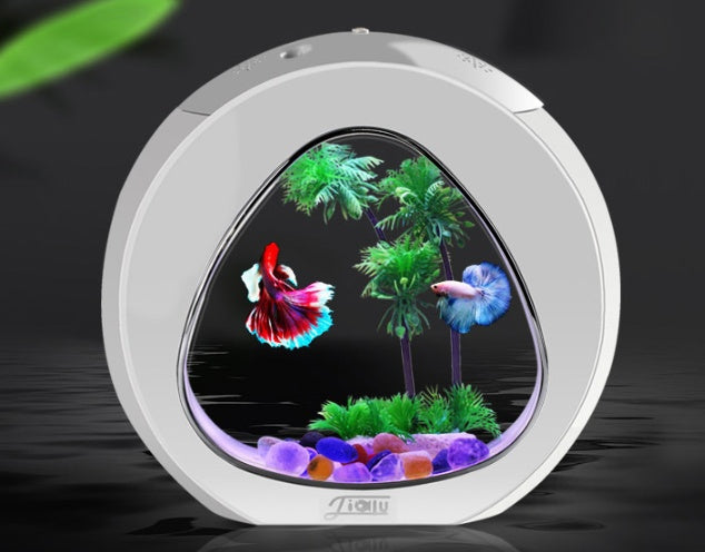 Desktop Acrylic Fish Tank Aquarium – Small & Large Sizes | PetPexi