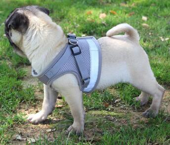 Dog Harness and Leash Set – Reflective Breathable Adjustable Harness for Puppies & Dogs | Petpexi