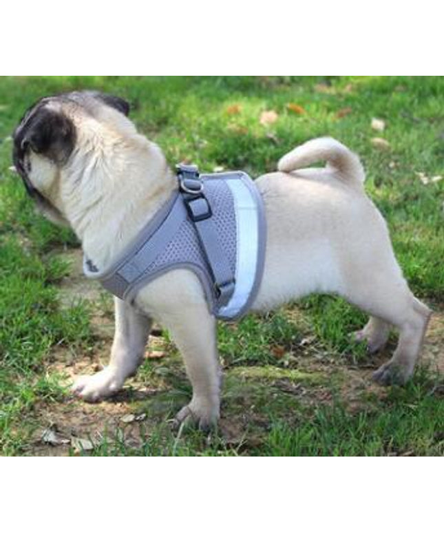 Dog Harness and Leash Set – Reflective Breathable Adjustable Harness for Puppies & Dogs | Petpexi