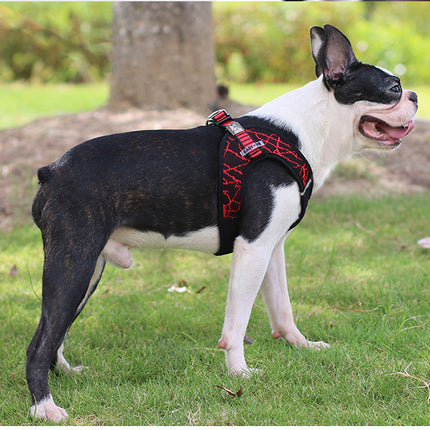 Flying Woven Fabric Chest Harness & Pet Leash – Durable Dog & Cat Harness | Petpexi