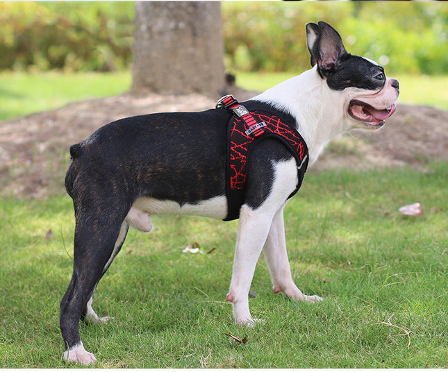 Flying Woven Fabric Chest Harness & Pet Leash – Durable Dog & Cat Harness | Petpexi