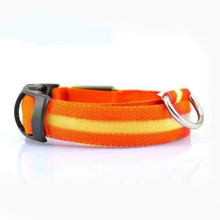 Safety LED Dog Collar – Waterproof Fiber Optic Light-Up Collar in Multiple Colors | Petpexi