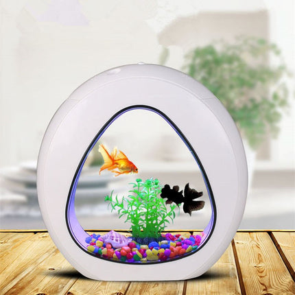 Desktop Acrylic Fish Tank Aquarium – Small & Large Sizes | PetPexi