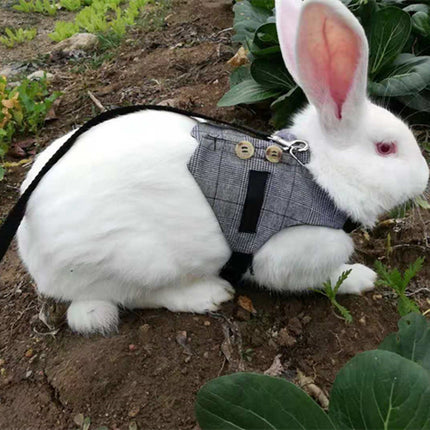 Rabbit Leash & Dress Chest Strap – Comfortable Pet Harness for Rabbits | Petpexi