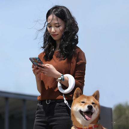 Cute King Star Retractable Pet Leash - petpexi.com