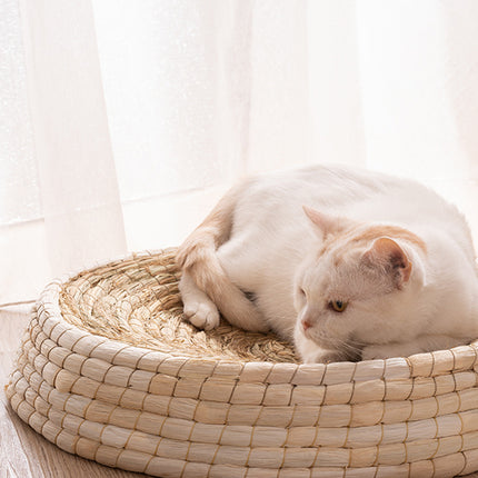 Teng Wok Felt House Cat Bed – Natural Straw & Corn Husk Cozy Nest | PetPexi