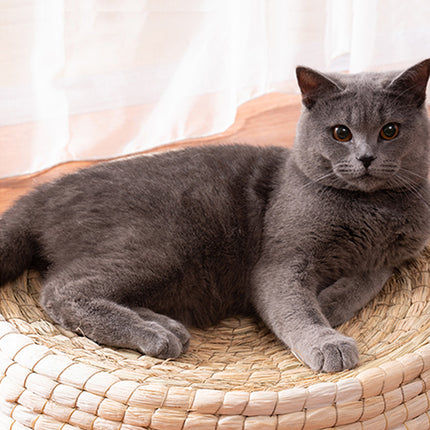 Teng Wok Felt House Cat Bed – Natural Straw & Corn Husk Cozy Nest | PetPexi
