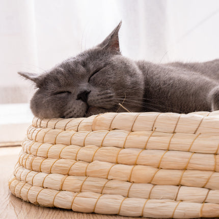 Teng Wok Felt House Cat Bed – Natural Straw & Corn Husk Cozy Nest | PetPexi