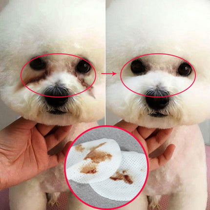 Pet Eye Grooming Wipes for Dogs & Cats – Gentle Tear Stain Cleaner & Hygienic 100pcs | Petpexi