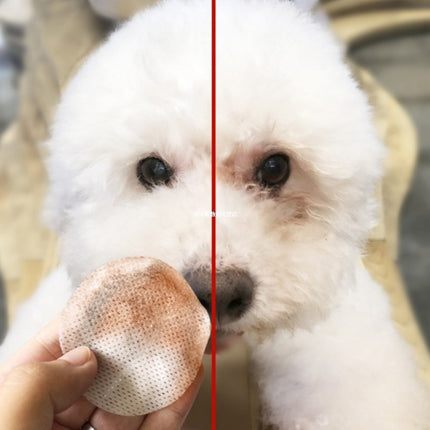 Pet Eye Grooming Wipes for Dogs & Cats – Gentle Tear Stain Cleaner & Hygienic 100pcs | Petpexi