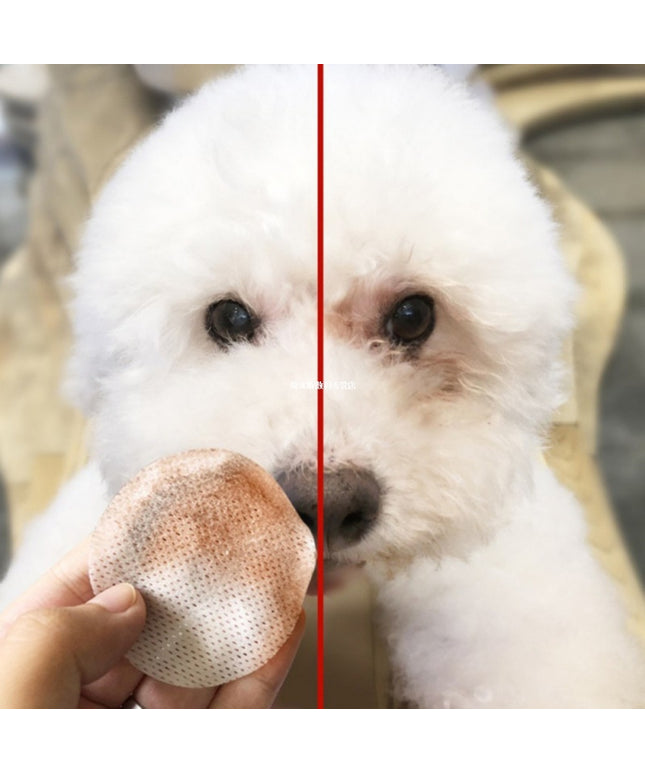 Pet Eye Grooming Wipes for Dogs & Cats – Gentle Tear Stain Cleaner & Hygienic 100pcs | Petpexi