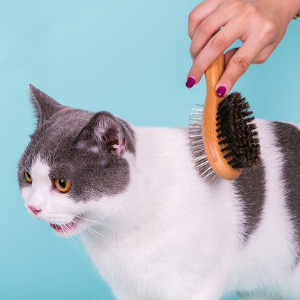 Double-Sided Pet Comb & Dog Cleaning Brush – Stainless Steel Needles | Petpexi