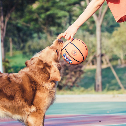 Jianbao Ball Dog Toy Bite Resistant Pet Toy Ball Puzzle – www.petpexi.com