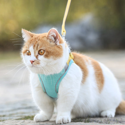 Suede Cat Vest-Style Harness & Traction Rope | Petpexi