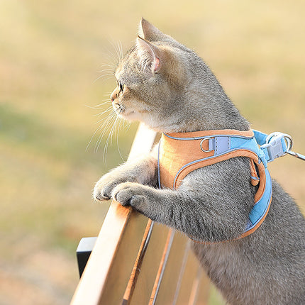 Suede Cat Vest-Style Harness & Traction Rope | Petpexi