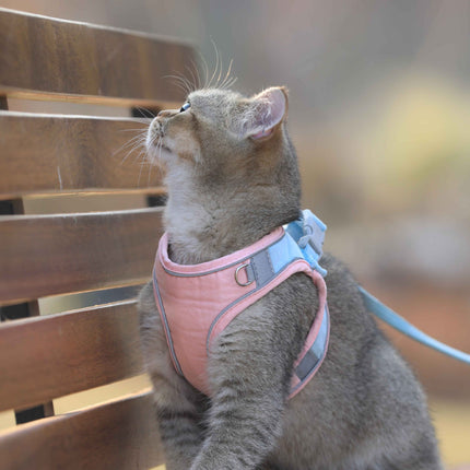 Suede Cat Vest-Style Harness & Traction Rope | Petpexi