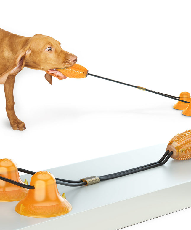 Multifunction Double Tug Rope Balls Sucker Toy for Dogs - Premium Quality from Petpexi