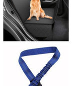 A black with blue leash