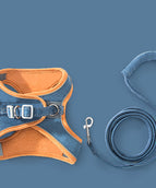 Orange blue