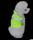 Fluorescent Yellow
