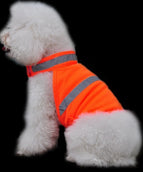 Fluorescent orange