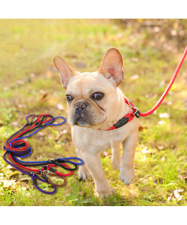 Dog leash dog leash pet leash
