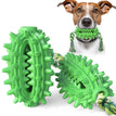 Green / Cactus with rope