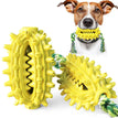 Yellow / Cactus with rope