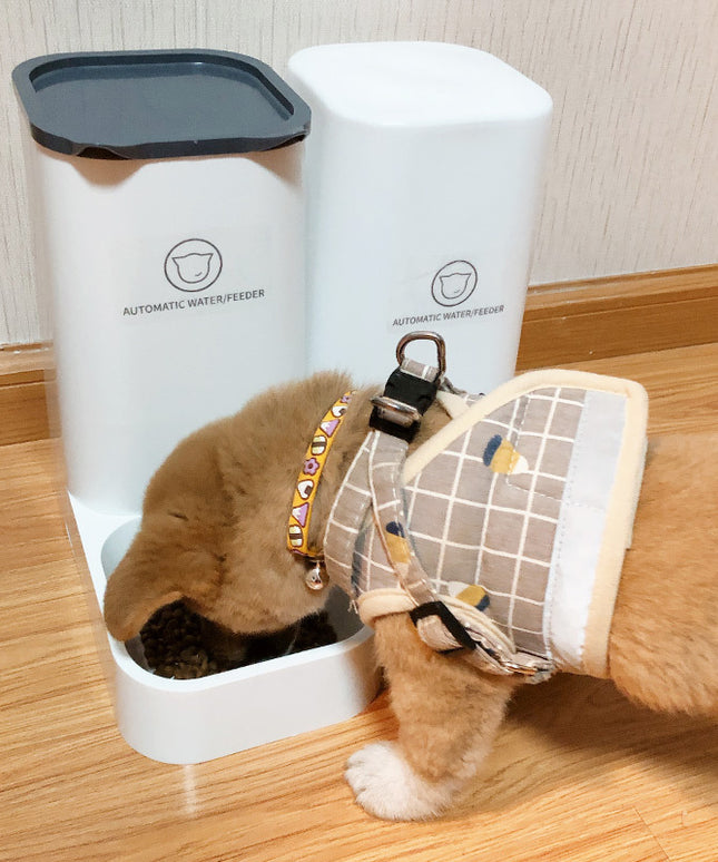Automatic Feeding Artifact for Cats & Dogs – 3.8L Capacity, Durable PP Material | Fast Free USA Shipping | petpexi.com