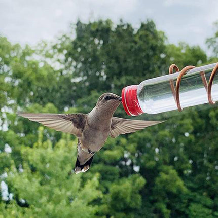 Handmade Copper Hummingbird Feeder – Easy to Clean, Suction Cup Installation, Perfect Garden Decor