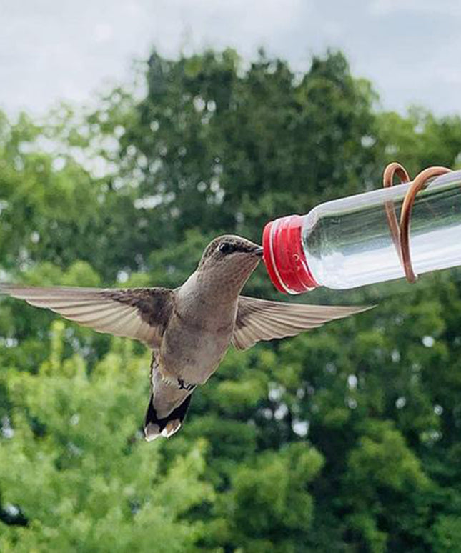 Handmade Copper Hummingbird Feeder – Easy to Clean, Suction Cup Installation, Perfect Garden Decor
