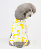 Little yellow duck