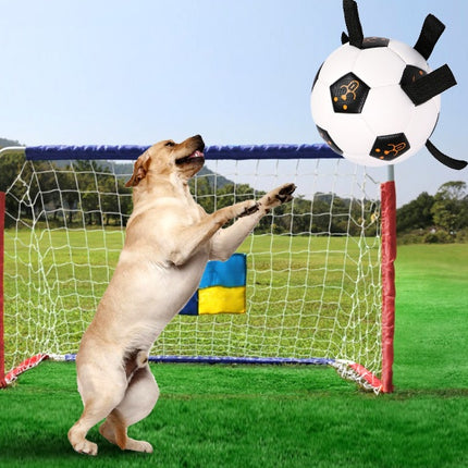 Pet Ball Toy Outdoor Football Dog Training Ball with Rope – Durable Chew & Fetch Toy – www.petpexi.com