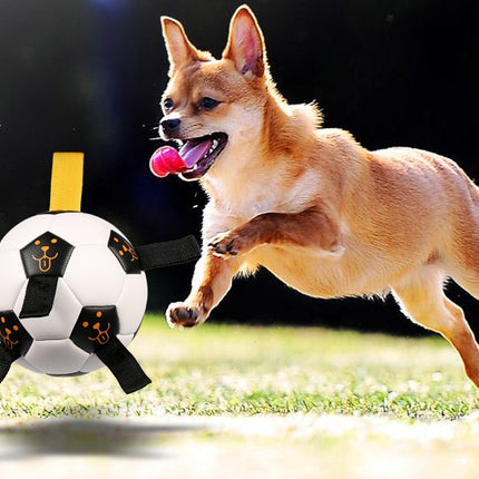 Pet Ball Toy Outdoor Football Dog Training Ball with Rope – Durable Chew & Fetch Toy – www.petpexi.com