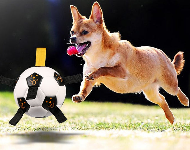 Pet Ball Toy Outdoor Football Dog Training Ball with Rope – Durable Chew & Fetch Toy – www.petpexi.com
