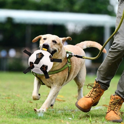 Pet Ball Toy Outdoor Football Dog Training Ball with Rope – Durable Chew & Fetch Toy – www.petpexi.com