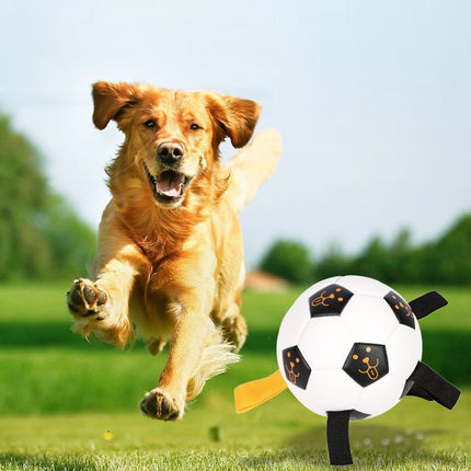 Pet Ball Toy Outdoor Football Dog Training Ball with Rope – Durable Chew & Fetch Toy – www.petpexi.com
