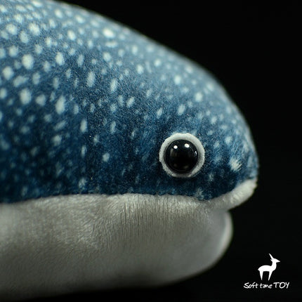 Whale Shark Plush Toy – Soft Squeaky Doll for Dogs & Cats | PetPexi