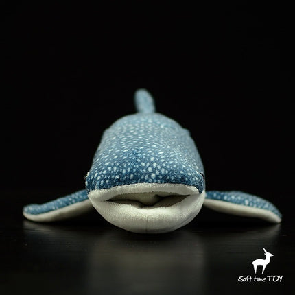 Whale Shark Plush Toy – Soft Squeaky Doll for Dogs & Cats | PetPexi