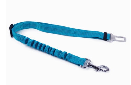 Pet Car Seat Belt with Safety Buckle – Adjustable Dog Fixed Rope | PetPexi