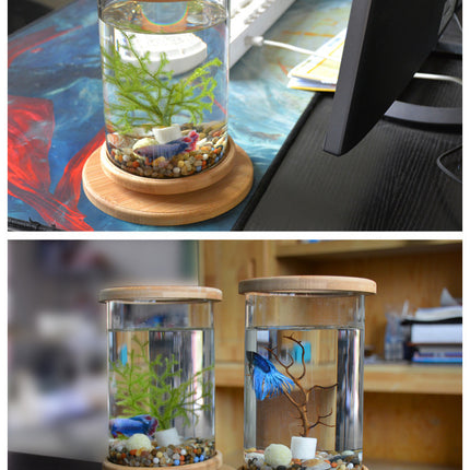 Mini Glass Aquarium with Natural Bamboo Base – Small Office Fish Tank | PetPexi