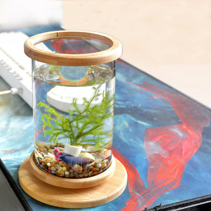 Mini Glass Aquarium with Natural Bamboo Base – Small Office Fish Tank | PetPexi