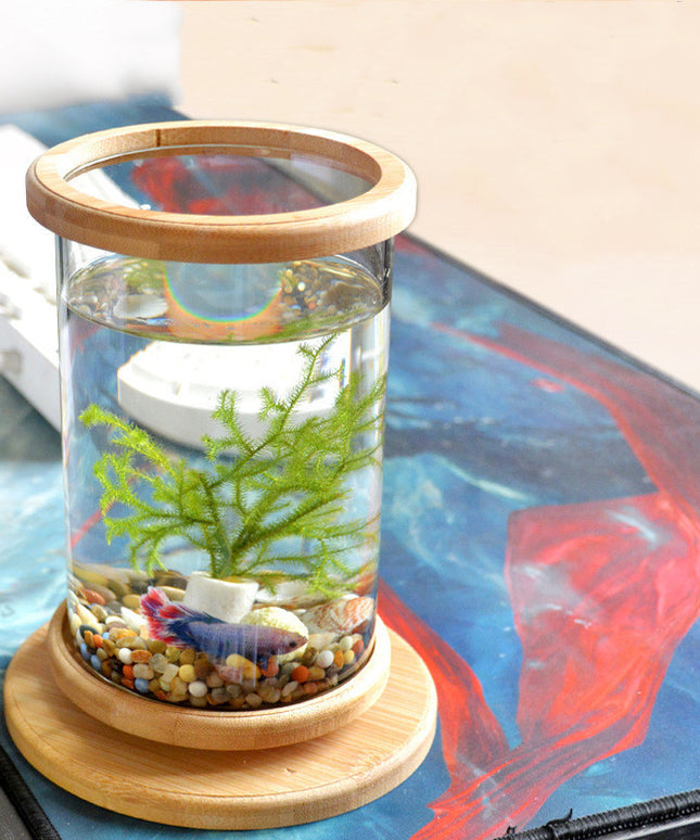 Mini Glass Aquarium with Natural Bamboo Base – Small Office Fish Tank | PetPexi