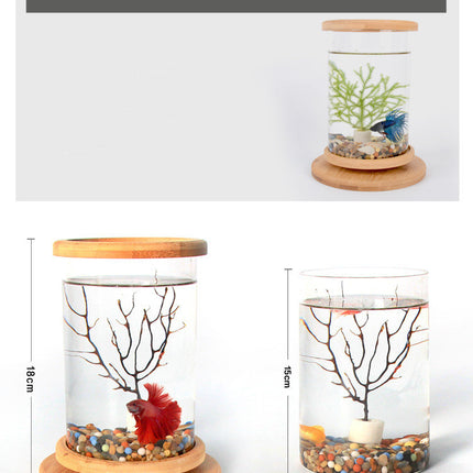 Mini Glass Aquarium with Natural Bamboo Base – Small Office Fish Tank | PetPexi