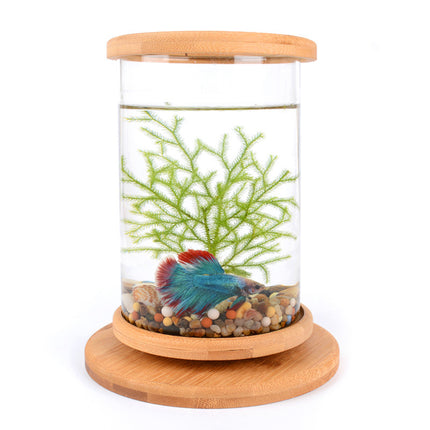 Mini Glass Aquarium with Natural Bamboo Base – Small Office Fish Tank | PetPexi