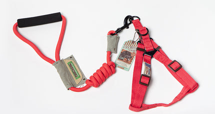 Nylon Dog Leash Vest - Heavy-Duty for Small and Large Dogs - petpexi.com